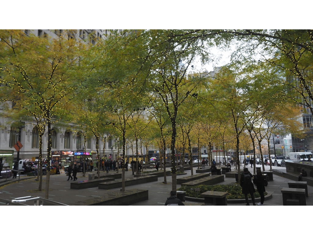 2019 USA NYC PN140013 - 2019-11-14 2019 USA NYC PN140013 - 2019-11-14